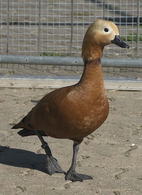 方面