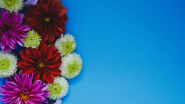 场蓝黑军团 场蓝黑军团