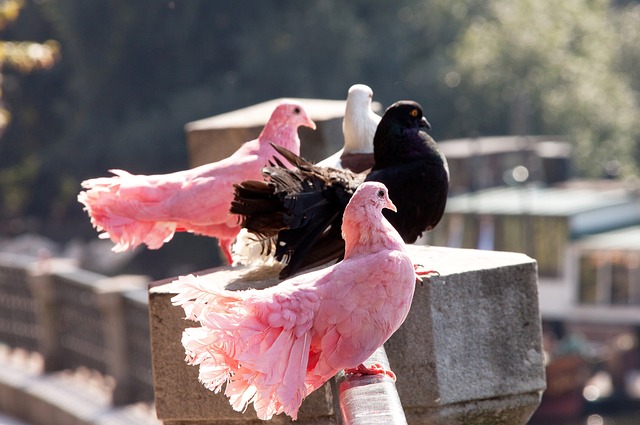 场的方式来 场的方式来