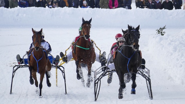 3年合同+年薪1100萬歐元！ 曝皇馬提8000萬歐報價凱恩！.
