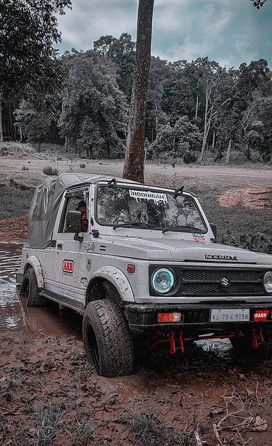 薪凯的到来 薪凯的到来