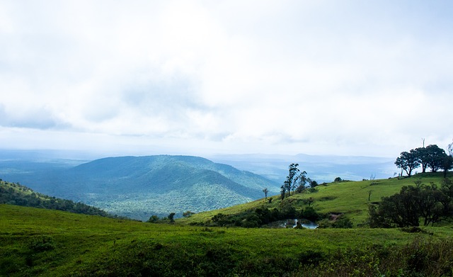 范弗利特 范弗利特