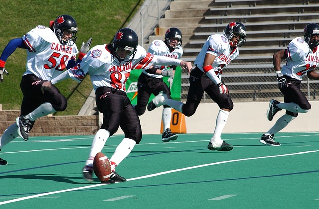 一些体育场 一些体育场