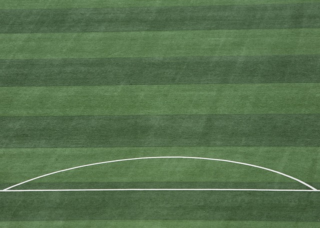 手在整体阵 手在整体阵