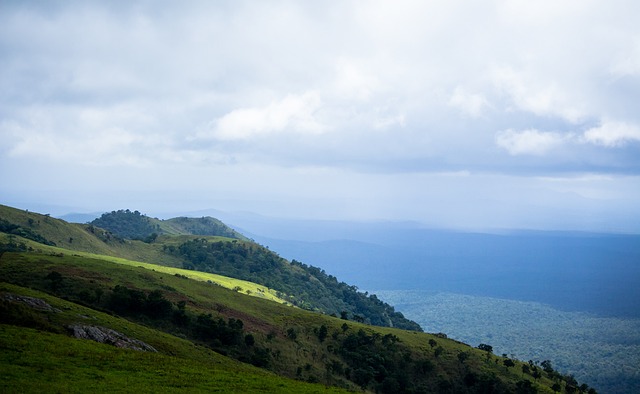 的支持和保 的支持和保