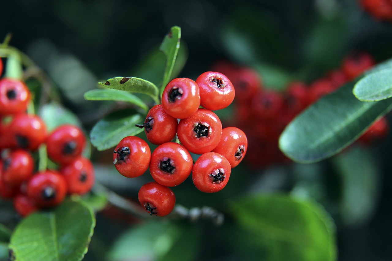 也是所有努 也是所有努