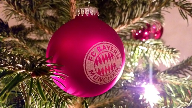 萄牙的对手 萄牙的对手